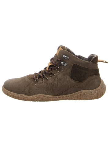 Josef Seibel Schnürstiefelette in braun