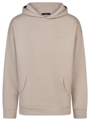 DENIMFY Sweatshirt DFMaxim in Beige