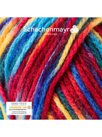 Schachenmayr since 1822 Handstrickgarne Bravo Color, 50g in Rio