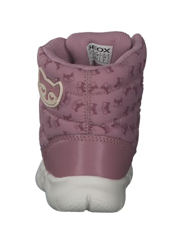 Geox Stiefeletten in DK Rose