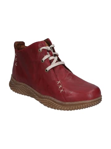 Josef Seibel Stiefelette Amelie in bordeaux