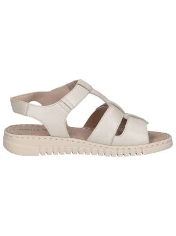 Caprice Sandalette in PEARL PERLATO