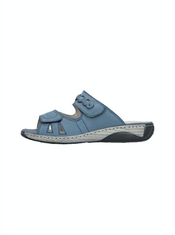 WALDLÄUFER für Erwachsene in blau
