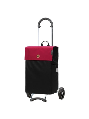 Andersen Shopper Andersen Scala Shopper Hera - Einkaufstrolley 56 cm (rot I) in rot I