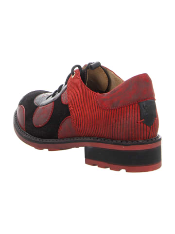 Maciejka Komfort Schnürschuhe in Schwarz