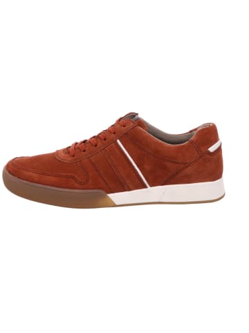 Pius Gabor Sneaker Low in braun