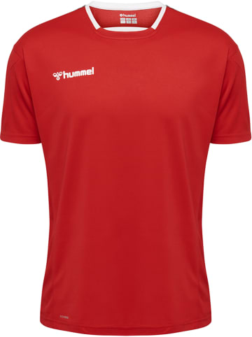 Hummel Hummel T-Shirt Hmlauthentic Multisport Kinder Atmungsaktiv Schnelltrocknend in TRUE RED