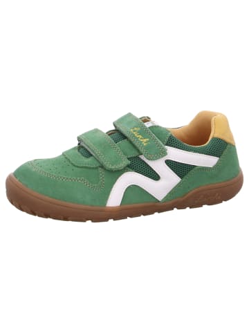 Lurchi Klettschuh Jamin BF in Grün