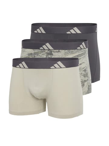adidas Trunk Active Flex Cotton in taupe, city escape print, grau