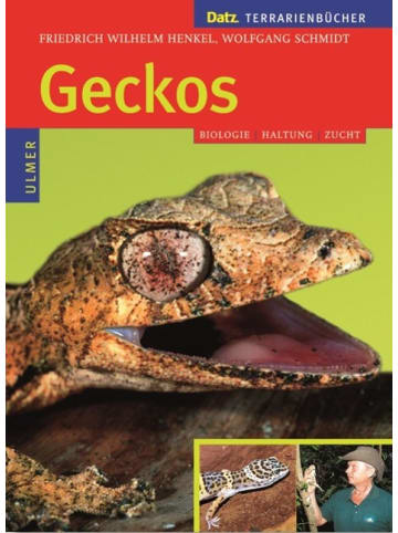 Ulmer Geckos