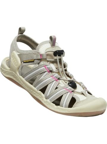 Keen W DRIFT CREEK H2 in Rose