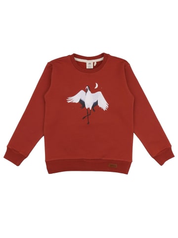 Walkiddy Sweatshirt Pullover-Sweatshirt aus Baumwolle (Bio)