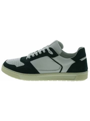 Sioux Sneaker für Herren in grün in grün