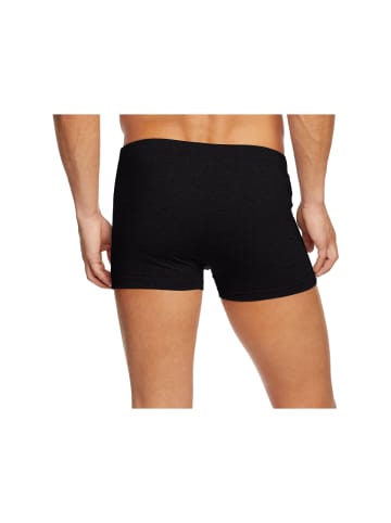 Calida Boxershorts in schwarz