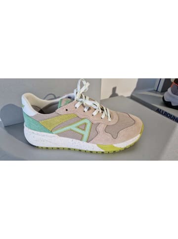 Allrounder Schnürschuh in bunt