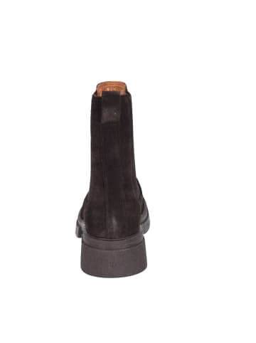 Apple of Eden Stiefeletten  Bis in braun
