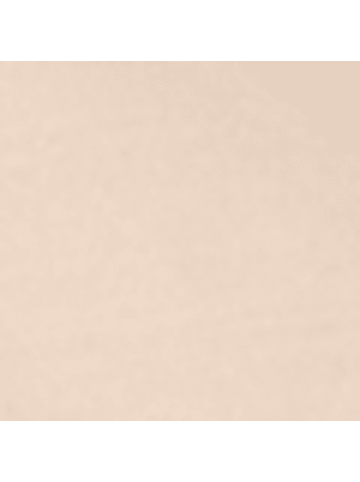 Hessnatur Triangel BH in puder