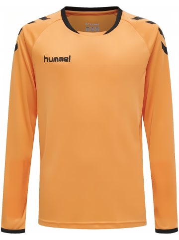 Hummel Kinder Trainingsanzug in Orange