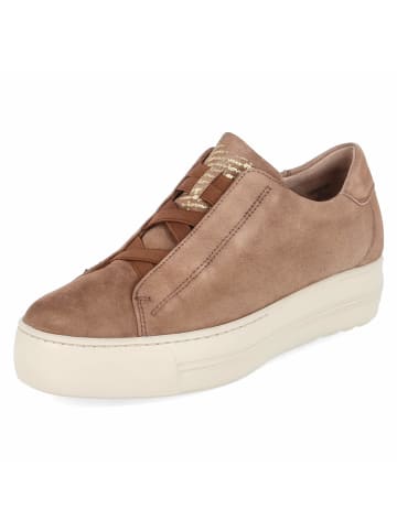 Paul Green Schnürhalbschuh in braun