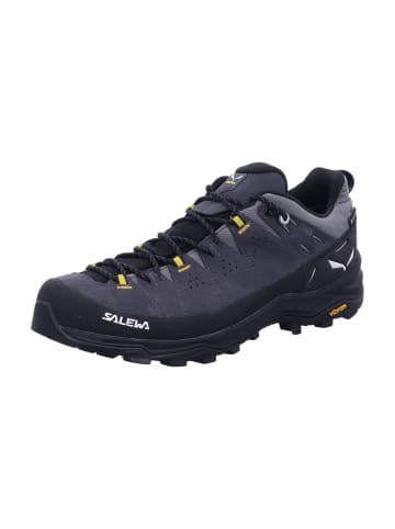 Salewa Outdoorschuh in grau