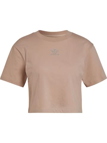 adidas adidas Damen adidas Cropped T-Shirt in ash pearl