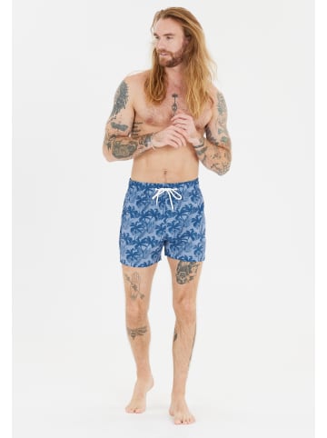 Cruz Badeshorts Werner in Print 3609 Blue Palm tree