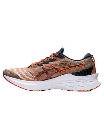 asics Laufschuhe NOVABLAST 2 LE in Orange