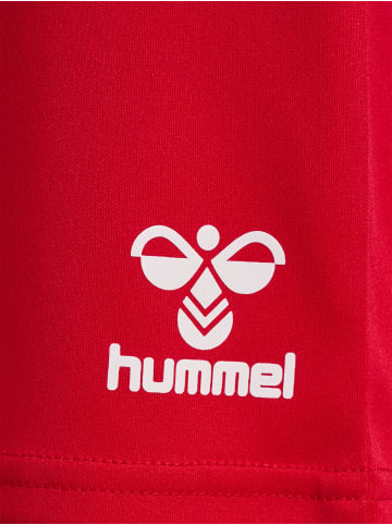 Hummel Hummel Kurze Hose Hmlessential Multisport Kinder Schnelltrocknend in TRUE RED