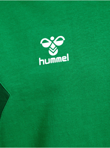 Hummel Hummel Sweatshirt Hmlauthentic Multisport Erwachsene in JELLY BEAN