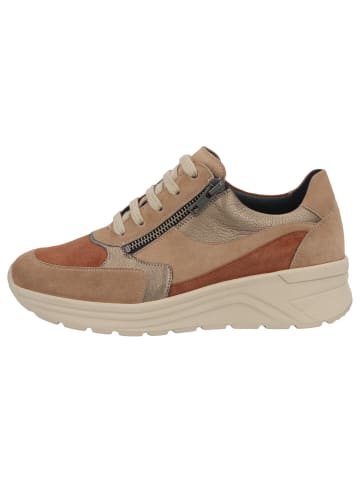 Solidus Damen- Schnürschuhe Holly Weite H in Braun