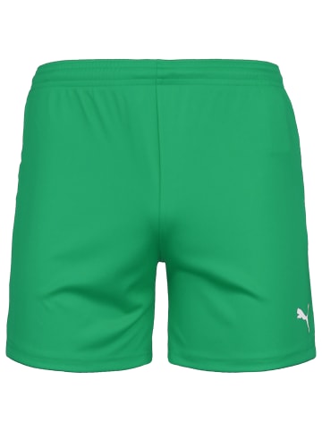 Puma Trainingsshorts TeamGOAL23 Knit in grün / weiß