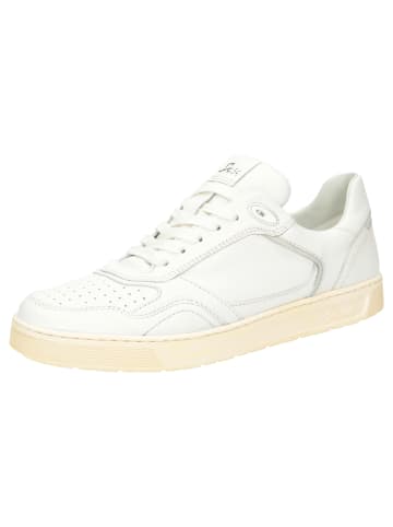 Sioux Sneaker Tedroso-704 in weiß
