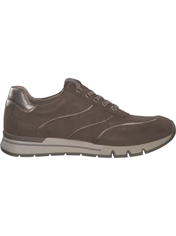 Caprice Schnürschuhe in TAUPE COMB