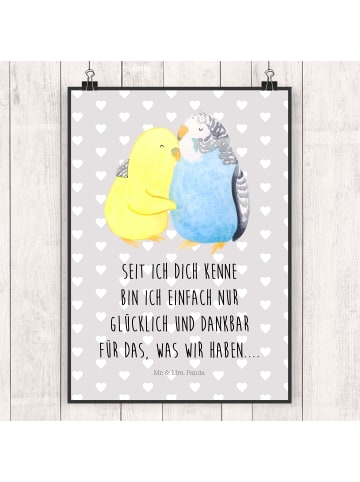 Mr. & Mrs. Panda Bild Wellensittich Liebe mit Spruch in Grau Pastell