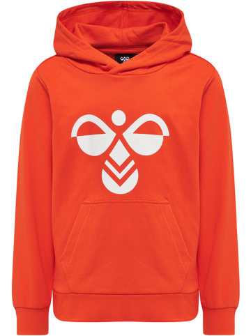 Hummel Hummel Hoodie Hmlcuatro Unisex Kinder Atmungsaktiv in CHERRY TOMATO