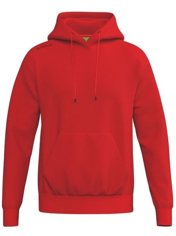 erima Hoodie "TS Hoodie" in Rot