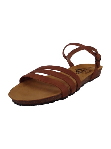 Plakton Sandalen beige