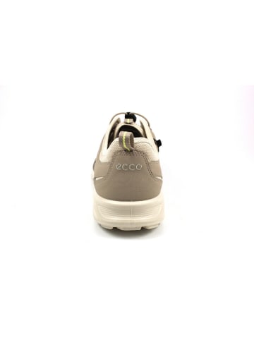 Ecco Sneakers in beige