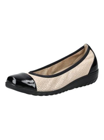 Caprice Ballerinas in Beige/Schwarz