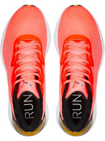 Puma Laufschuh in Rosa