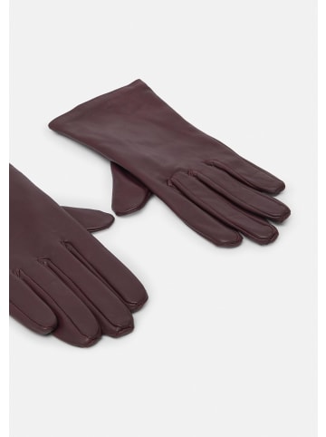 comma Handschuhe in 4922_aubergine