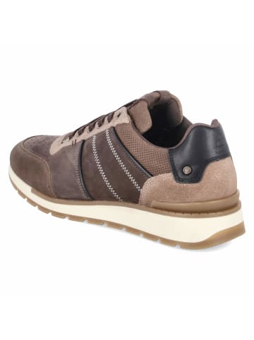 Bullboxer Low Sneaker in braun