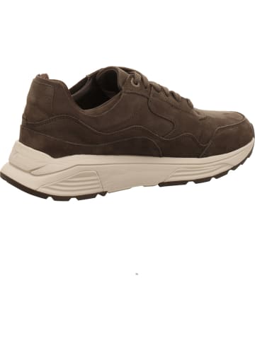 Xsensible Schnürschuhe in grau