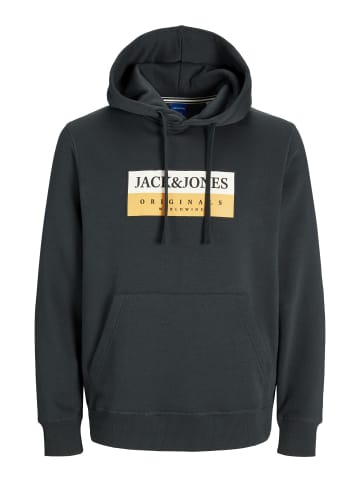 Jack & Jones Kapuzenpullover in Forest River