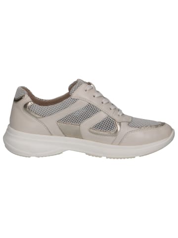 Caprice Sneaker in OFFWH/LT GOLD