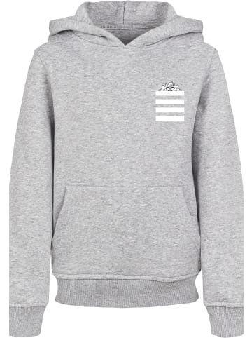 F4NT4STIC Hoodie in heather grey