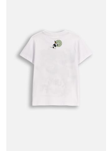 Coccodrillo Baumwoll-T-Shirt mit kurzen Ärmeln in weiß