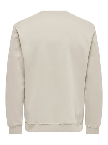 ONLY & SONS Sweatshirt in Silver Lining 1