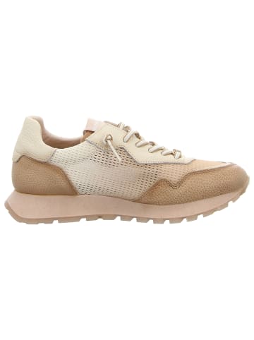 Hispanitas Sneaker Low in grün