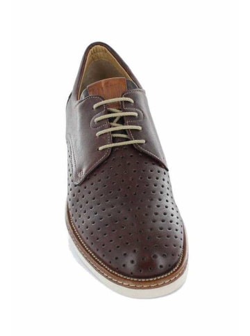 Galizio Torresi Schnürschuh in braun